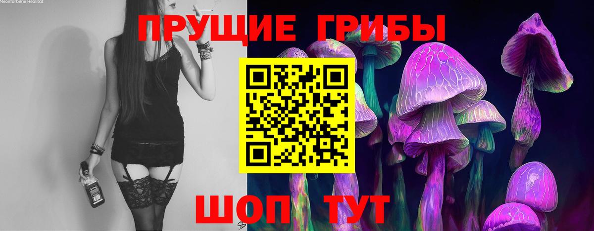 Псилоцибиновые грибы мицелий  Псилоцибиновые грибы Cubensis  Вход с VPN  Дербент 