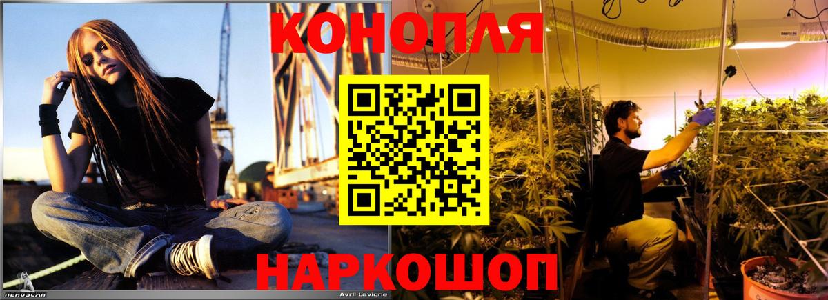 Бошки Шишки гибрид  МАРИХУАНА Amnesia  Вход с VPN  Бошки марихуана ГИДРОПОН  Дербент 
